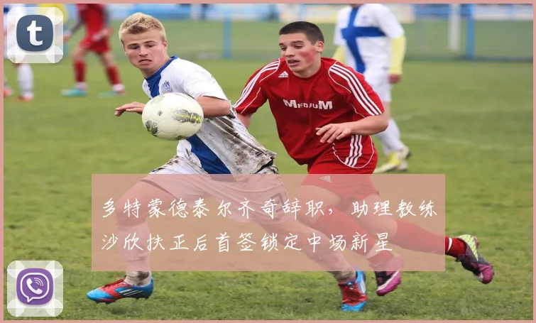 多特蒙德泰尔齐奇辞职，助理教练沙欣扶正后首签锁定中场新星