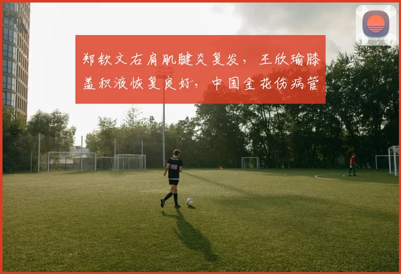 郑钦文右肩肌腱炎复发，王欣瑜膝盖积液恢复良好，中国金花伤病管理对比