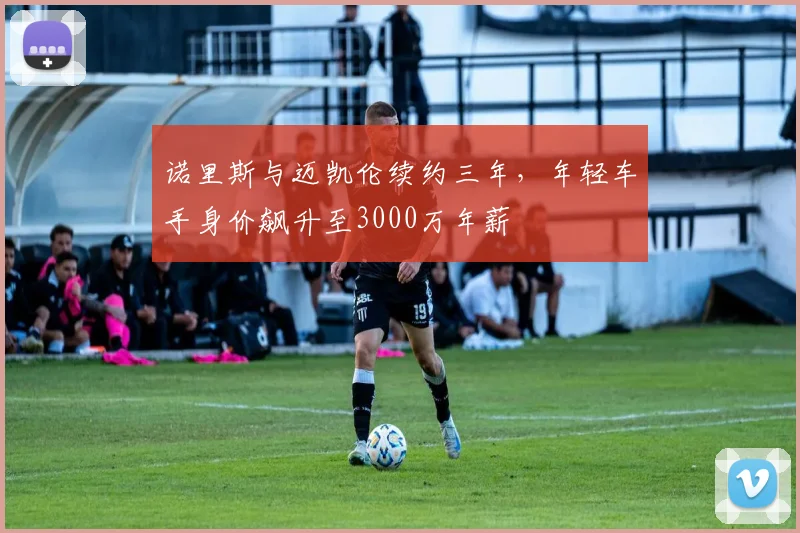 诺里斯与迈凯伦续约三年，年轻车手身价飙升至3000万年薪